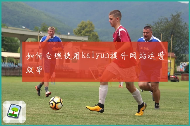 如何合理使用kaiyun提升网站运营效率
