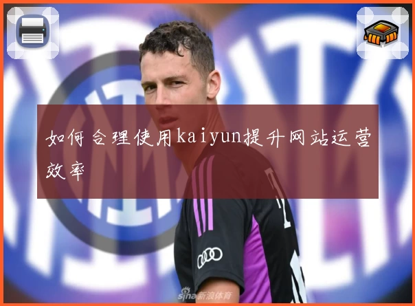 如何合理使用kaiyun提升网站运营效率