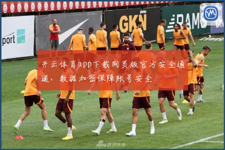 开云体育app下载网页版官方安全通道，数据加密保障账号安全