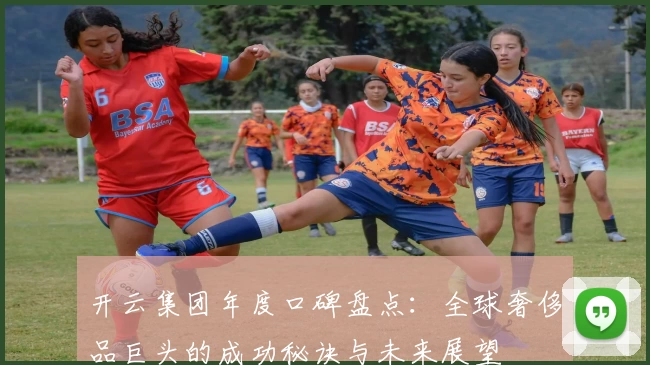 开云集团年度口碑盘点：全球奢侈品巨头的成功秘诀与未来展望