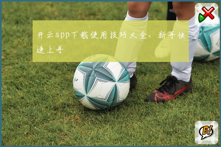 开云app下载使用技巧大全,新手快速上手